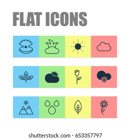 Harmony Icons Set. Collection Of Sun, Sunflower, Seashell And Other Elements. Also Includes Symbols Such As Pearl, Sunny, Shrub.
