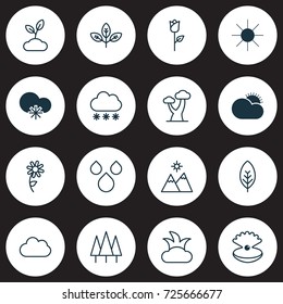 Harmony Icons Set. Collection Of Sunflower, Oak, Bush And Other Elements. Also Includes Symbols Such As Raindrop, Bush, Foliage.