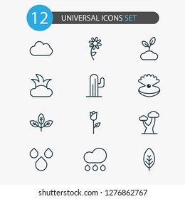 Harmony icons set with foliage, raindrop, shrub and other sunflower elements. Isolated vector illustration harmony icons.