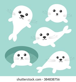 Harp baby seal pup set. Ice-hole Cute cartoon character. Blue background. Flat design Vector illustration