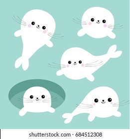 Harp baby seal pup set. Cute cartoon character. Ice-hole. Happy baby animal collection. Blue background. Flat design Vector illustration