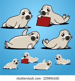 harp seal