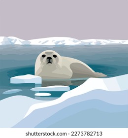 Harp seal in arctic ice. Arctic animals in natural habitat. Flat vector illustration concept