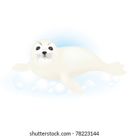 Harp Seal Pup  Lying On Snow