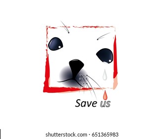 Harp seal pup on white background