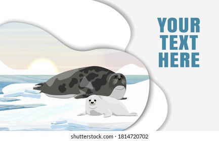 A harp seal with a puppy lie on the shores of the Arctic Ocean. Mammals animals of the Arctic. Realistic vector landscape. Landing page template with multi-level shadows.