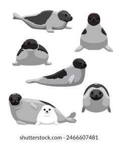 Harp Seal various Poses Set Cartoon Vector