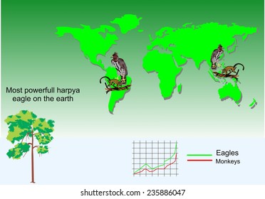 Harpy eagle around the world