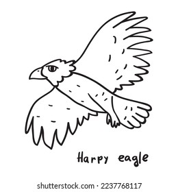 Harpy eagle flying. Outline vector illustration on white background.