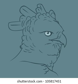 Harpy eagle head - vector illustration
