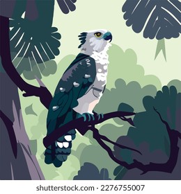 Harpy eagle perched high in the rainforest canopy. Tropical rainforest birds and animals. Flat vector illustration concept