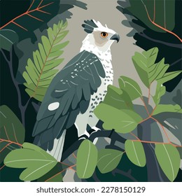 Harpy eagle perched high in the rainforest canopy. Tropical rainforest birds and animals. Flat vector illustration concept