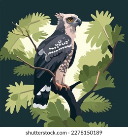 Harpy eagle perched high in the rainforest canopy. Tropical rainforest birds and animals. Flat vector illustration concept