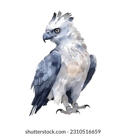 Harpy Eagle vector watercolor paint ilustration