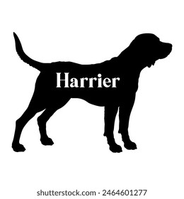 
Harrier perro silueta perro razas logo perro monograma Vector