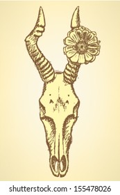 Hartebeest skull and zinnia, vector background