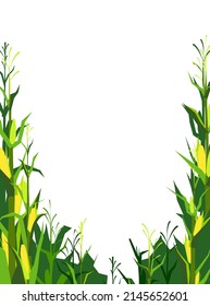 Harvest agricultural plant. Frame with place for text. Food product. Farmer farm illustration. Rural summer field landscape. Object isolated on white background. Vegetable garden cultivation. Vector.