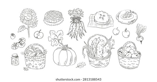Harvest baskets and pumpkin