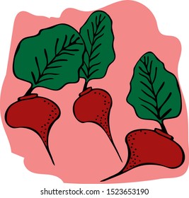 Harvest beets, a natural food product. Cartoon flat style. Hand-drawn. Vector illustration