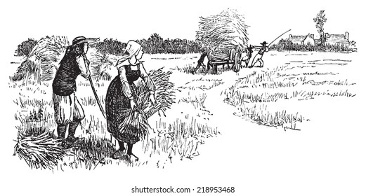 Harvest in Brittany, vintage engraved illustration. Journal des Voyages, Travel Journal, (1879-80).