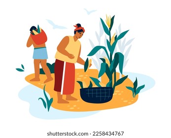 Harvest by peasants - modern colored vector illustration on white background with woman picking corn from a bush and man who carries fruits in a basket. Farming, tribe people, ethnic culture