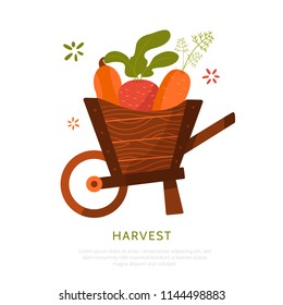 Harvest cart with beetroot, carrot and pumpkin isolated on white background. Harvest concept