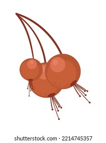 icono de cerezas de cosecha aislado plano