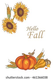 harvest corn, sunflower and pumpkin, vector illustration