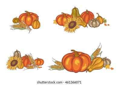 harvest corn, sunflower and pumpkin, vector illustration