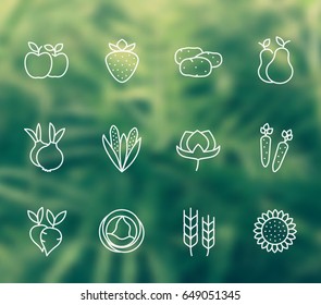 Harvest, farming linear icons