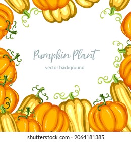 Harvest fastival background. Pumpkin frame, vector illustration.