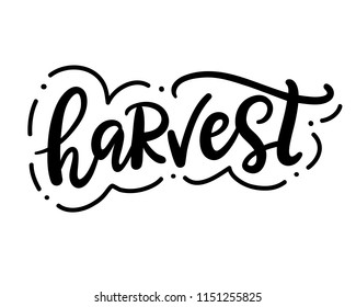 Harvest fest typography poster with hand drawn lettering. Autumn greeting card, t-shirt print, isolated on white background. Vector illustration.