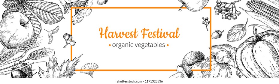 Harvest festival banner. Hand drawn vintage vector frame with vegetables, fruits, leaves. Farm Market poster. Vegetarian set of organic products. Detailed food drawing for menu, label,  flyer