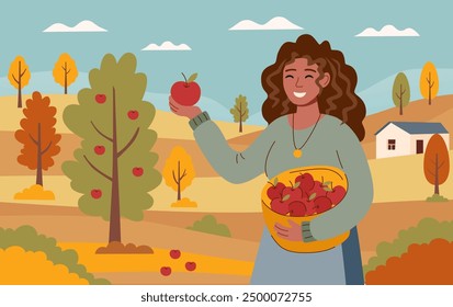 Harvest festival banner. Happy harvest poster. Autumn, harvest and Thanksgiving concept.  Woman with basket of apples, picking apples at the nature.	