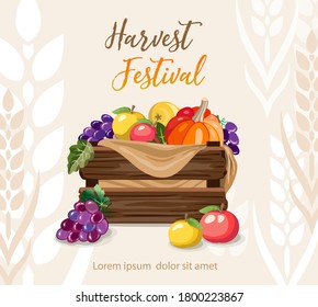 Harvest Festival design. Autumn background. Banner, poster, flyer template. Vector fruits. Vegetable basket. Abundance symbol, wheat ears, wooden crate box.