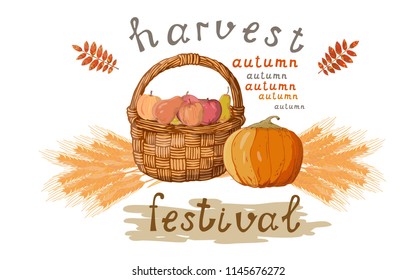 harvest festival fall season thanksgiving day pumpkin and apples and spikes and lettering and basket autumn