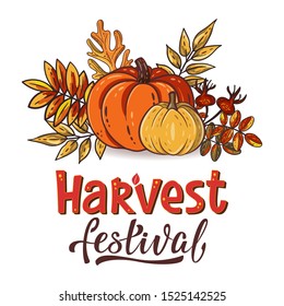 Harvest Festival hand drawn lettering text with autumn leaves and pumpkins. Rowan and oak leaves with gourds and dog-rose. Fall season elements for thanksgiving. Autumn harvest fest. Vector design