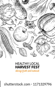 Harvest festival. Hand drawn vintage vector frame illustration with vegetables, fruits, leaves. Farm Market poster. Vegetarian set of organic products. Detailed food drawing for menu, flyer, label