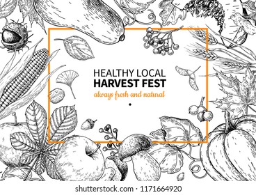 Harvest festival. Hand drawn vintage vector frame illustration with vegetables, fruits, leaves. Farm Market poster. Vegetarian set of organic products. Detailed food drawing for menu, banner, flyer