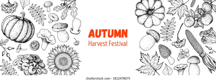 Harvest festival. Hello autumn illustration. Hand drawn frame with fall leaves, pumpkins. Vector illustration. Thanksgiving design template. Sketch design.