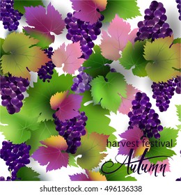 harvest festival, the pattern of the grape, vector illustration