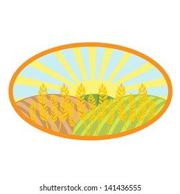 harvest field landscape vector