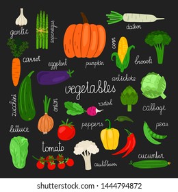 Harvest, fresh vegetables of set vector illustration. Cabbage and broccoli, lettuce and asparagus, pumpkin and garlic