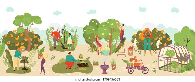 Harvest in garden with fruits crop and agriculture farming flat vector illustration, harvesters fruits, plants. People workers pick apples from trees in garden, harvesting, planting and delivering.