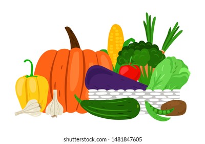 Harvest garden vegetables on white. Harvest time Fresh vegetable set image isolated on white background. Vector agriculture illustration for banner template