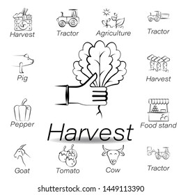 harvest hand draw icon. Element of farming illustration icons. Signs and symbols can be used for web, logo, mobile app, UI, UX