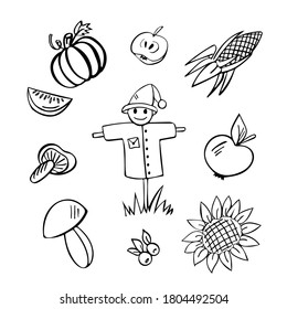 Harvest hand drawn doodle set of 10 elements - scarecrow, pumpkin, mashroom, appel, sunflower, berries, corn 