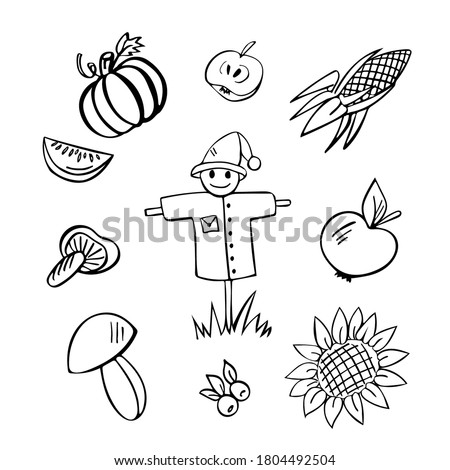Harvest hand drawn doodle set of 10 elements - scarecrow, pumpkin, mashroom, appel, sunflower, berries, corn 