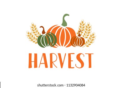 Harvest - hand drawn lettering phrase and autumn harvest symbols. Harvest fest poster design. Vector illustration. Isolated on white background.