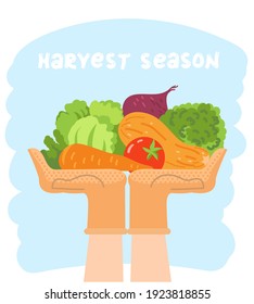 Harvest. Hands holding organic vegetables with sky background for text. Autumn farming concept of Harvest season with fresh tomatoes, carrot and green nature food.